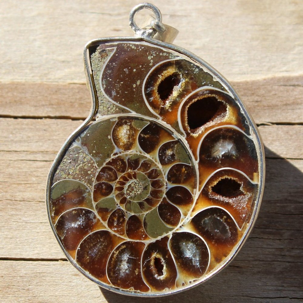 Ammonite Fossil Pendant, Sliced with waxed leather cord